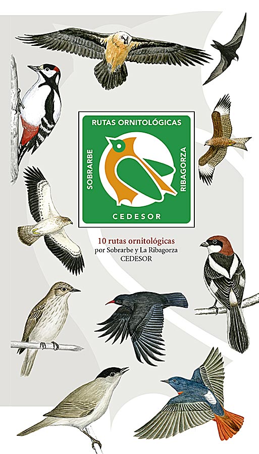 Rutas ornitológicas Cedesor