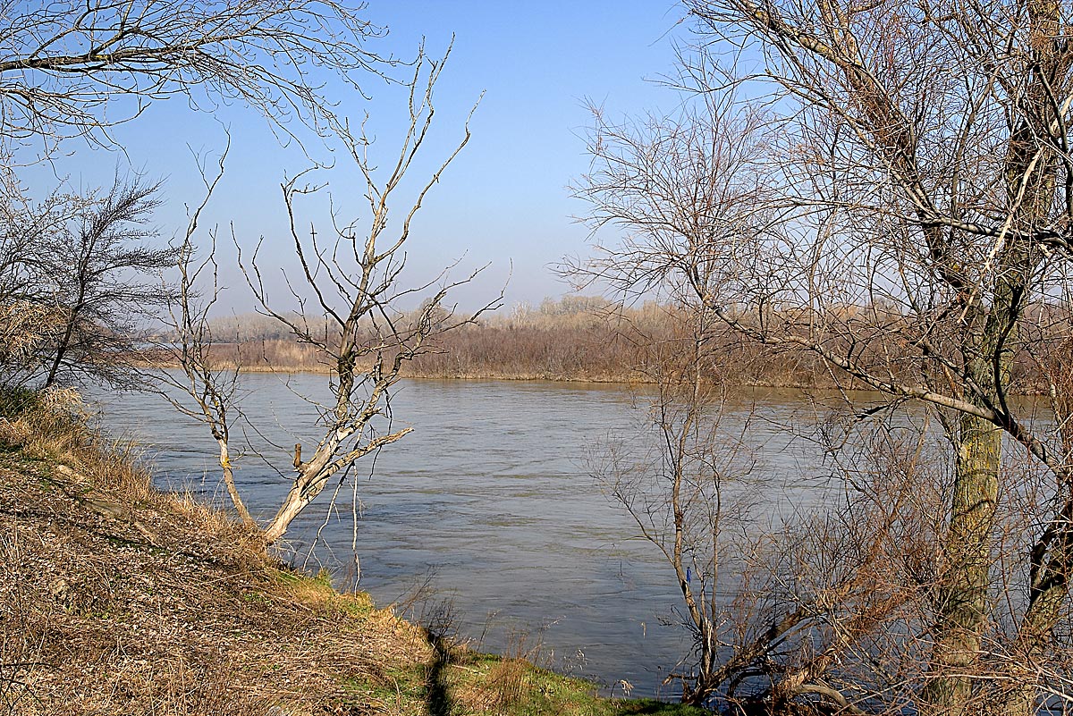 Galacho de la Cartuja, en en el río Ebro.