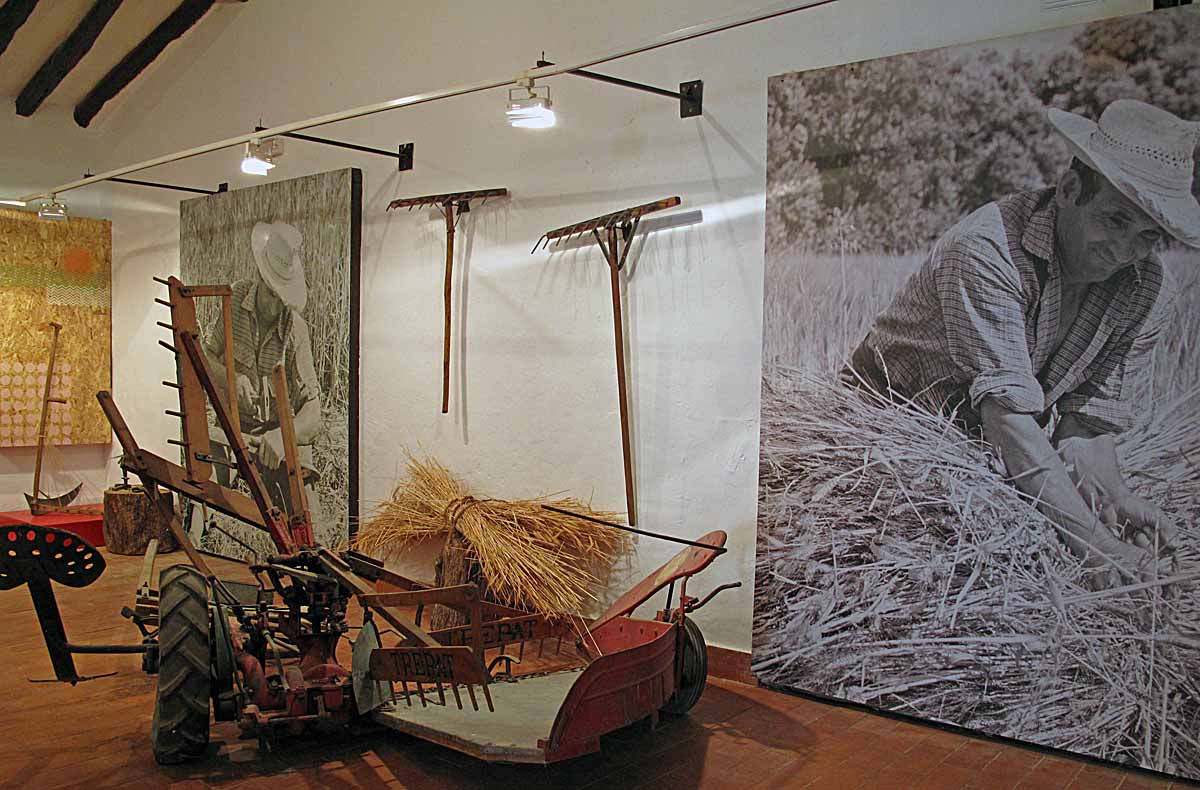 Museo Etnográfico de Belchite