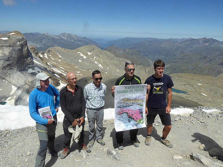 Plantas de las cumbres del Pirineo, presentación